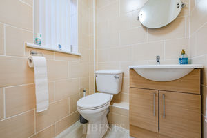 Paddock Rise Beechwood